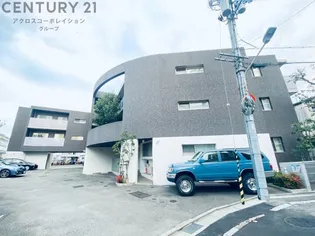 ANCESTRAL BASEの画像