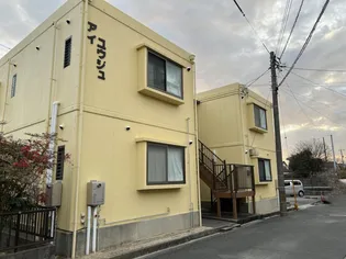 アイユウジュの画像