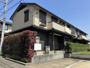 柚子季 IIIの画像