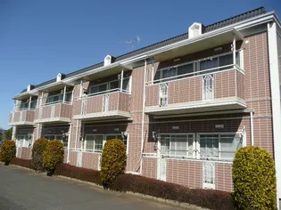 ジュネスサトミの画像