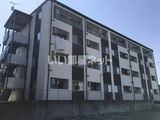 L'ALBA DI PRIMOの画像