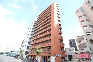 ラパンジール大国III【9階】の外観