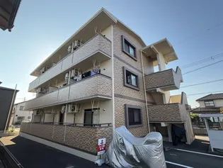 センテリヤールの画像