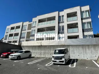 サンライズIIの画像