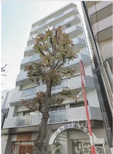 エトワール王子の画像