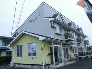 フラッツMの画像