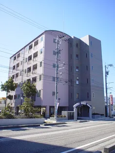 コンブリオの画像