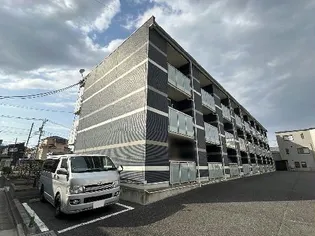 レオネクストシャンエトワールの画像