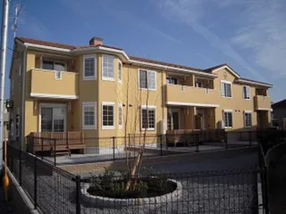 ウィンクルDの画像