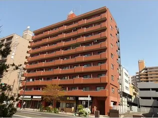 ライオンズマンション国分町【7階】の外観