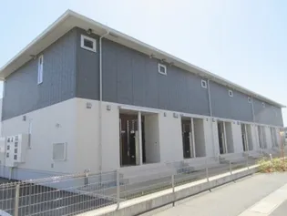 エヴァーグリーンの画像