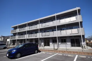 Y&M SAKURAIIIの画像