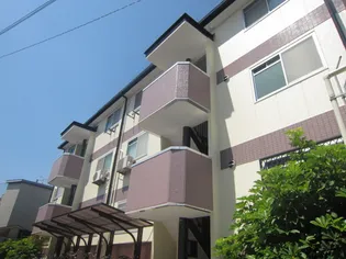 テランガ大浜の画像