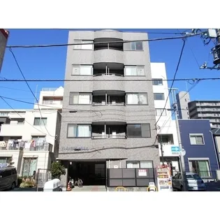 デイジーヒルの画像