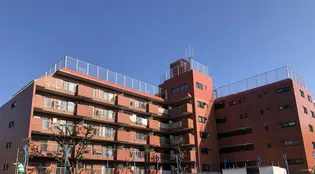 ローヤル若葉の画像