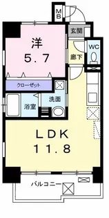 カーサ ビアンカ【5階】の間取り