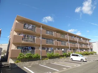 ミレーニアの画像