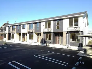 トライブDの画像