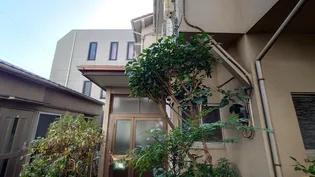 サカエビルの画像