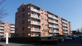 東鷲宮駅前ハイツ 2号棟の画像