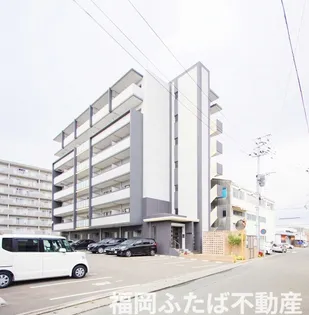 プレミアムワンの画像