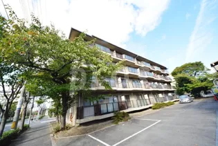 メゾンカーサー2号館の画像