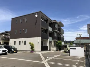 コージー サクラの画像