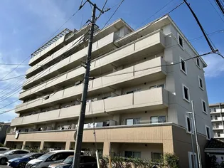 アウラ10の画像