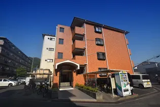 大阪府柏原市平野1【マンション】の外観