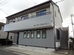 カーサベルツリーの画像