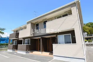 プラシードの画像