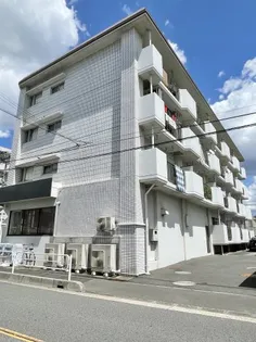 ルミナール和希【1階】の外観