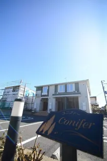 コニファーの画像