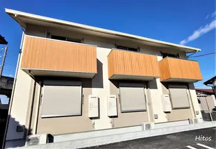 ワカバミントの画像