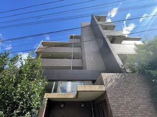 オキザリスの画像