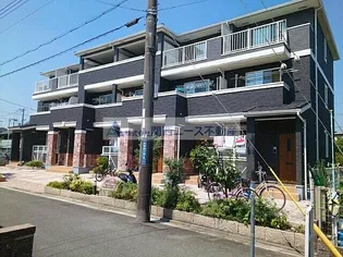 ストレリチア オーガスタの画像