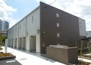 ミランダファルコナーIIの画像