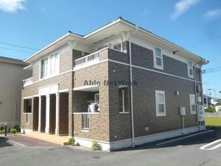 メリーグレースの画像