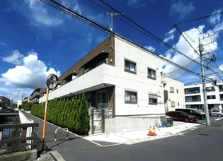 ADORABLE樹の画像