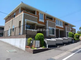 らんたん Bの画像