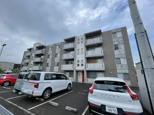 フォルモーザ発寒の画像