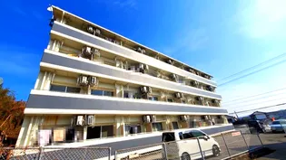 朝倉ルートハイツ【1階】の外観