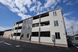 ヴィーナスの画像