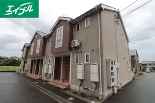 プラシードCの画像