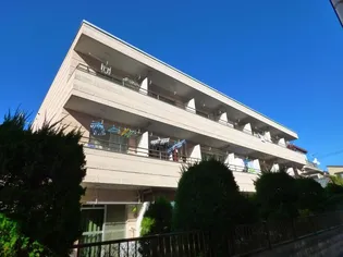 メーソンリー綾瀬の画像