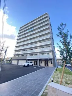 スカイの画像