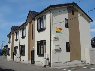 サンマーセルの画像