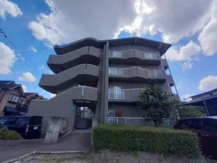 TSUKINOKI ASADAの画像