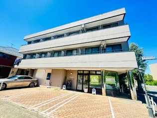 クリサンテーモの画像