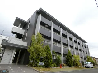 エトワールの画像